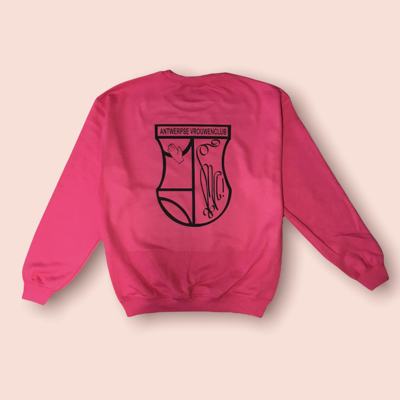 trui avc merchandise studentenclub met schild
